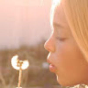 Meet your Posher, Liberty